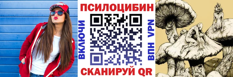 магазин продажи наркотиков  Озёры  Псилоцибиновые грибы мухоморы 